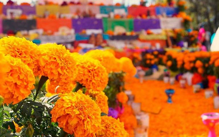 Festival de Muertos una tradición en Vicente - El Sol de Durango | Noticias  Locales, Policiacas, sobre México, Durango y el Mundo